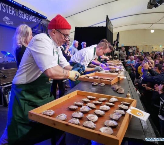 Galway International Oyster and Seafood Festival 2026 – Galway, Ireland