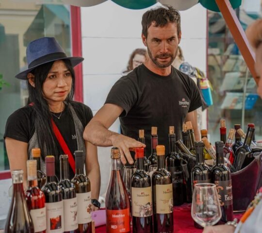 Ljubljana Wine Route – Slovenia 2025