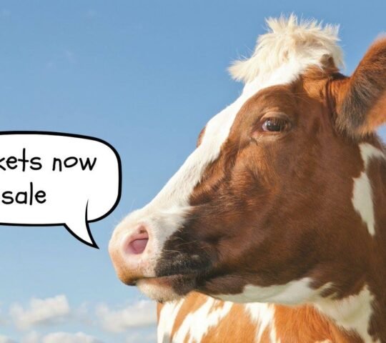 Great Yorkshire Show – UK 2026