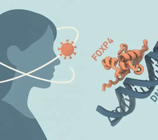 Helsinki Digital Humanities Hackathon: Helsinki, Finland 2026