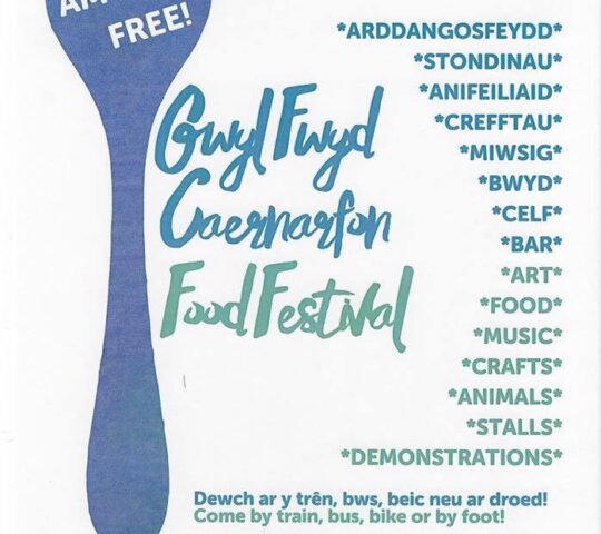 Gŵyl y Faenol Festival – Wales