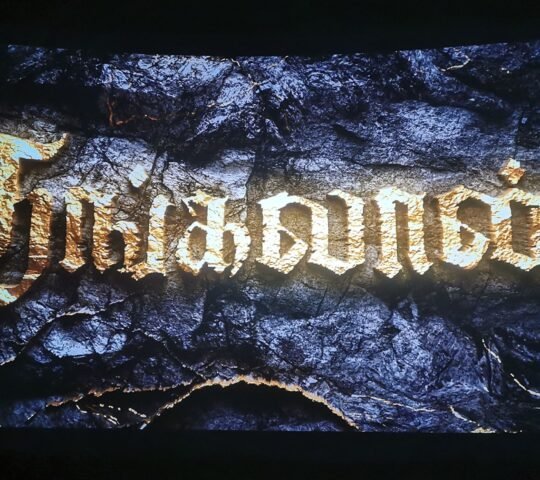 International Film Festival Rotterdam – Netherlands 2026 International Film Festival Rotterdam – Netherlands 2026