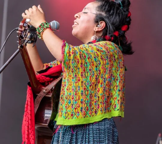 Festival du Bout du Monde – France 2026