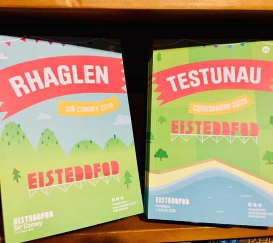 Eisteddfod Genedlaethol Cymru – Wales 2026