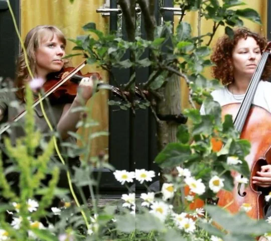 Wilderness Festival – Cornbury, England 2026