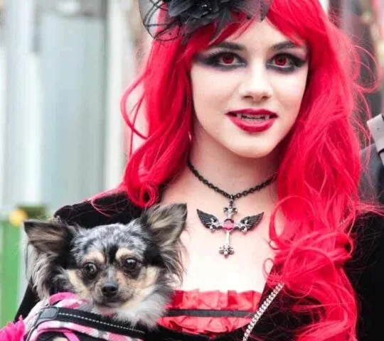 Lucca Comics & Games (Lucca) 2026