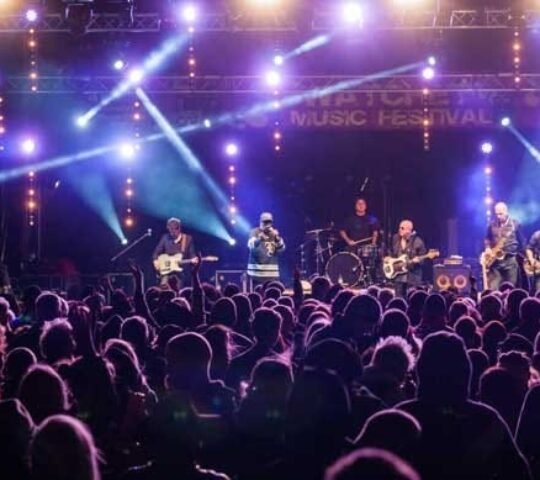 Watchet Music Festival – Watchet, England 2026