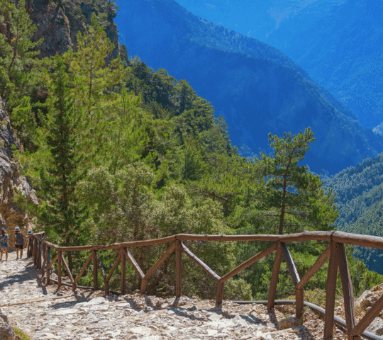 From Chania: Samaria Gorge with Professional Hiking Guide