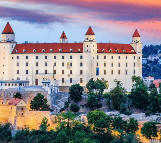 From Vienna: Bratislava & Countryside Guided Half Day Tour