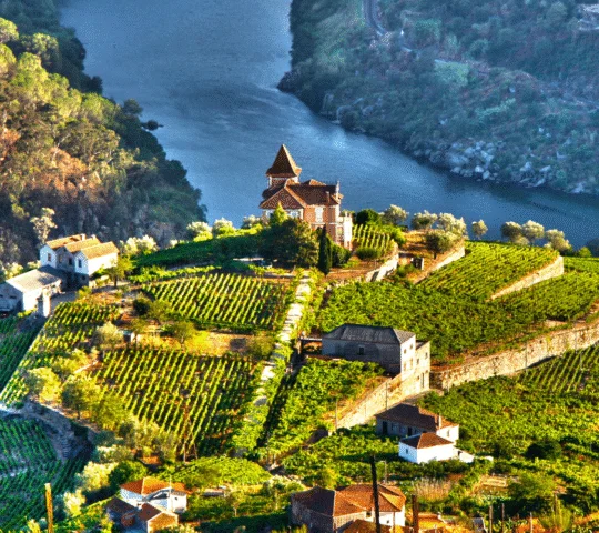 Porto: Douro Valley Tour with Lunch, Boat Cruise & Tastings