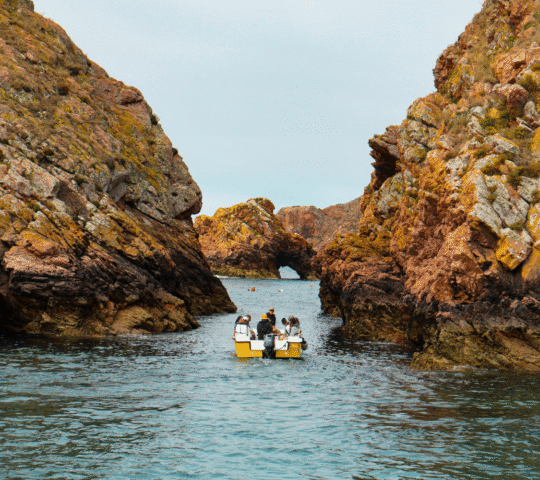 Peniche: Berlenga Island and Cave Tour