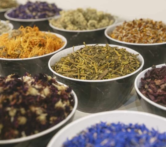 BIOFACH 2027 – World’s Leading Trade Fair for Organic Food, Nuremberg, Germany