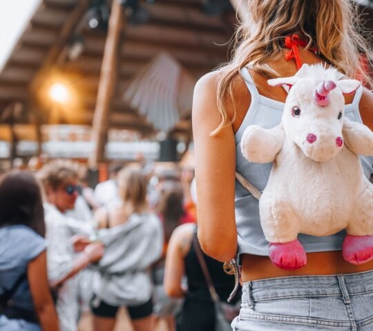 Wurzelfestival 2026 – Niedergörsdorf, Germany