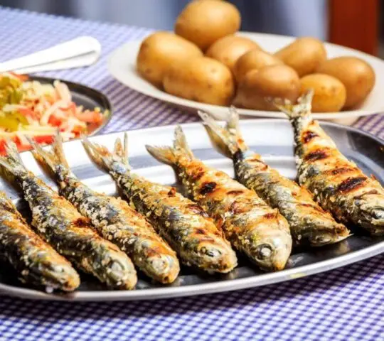 Festival da Sardinha Portimão 2026 – Portimão, Portugal