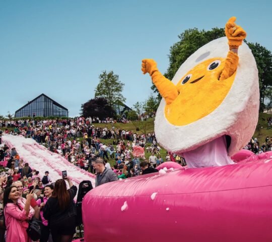 Vilnius Pink Soup Fest 2026 – Vilnius, Lithuania