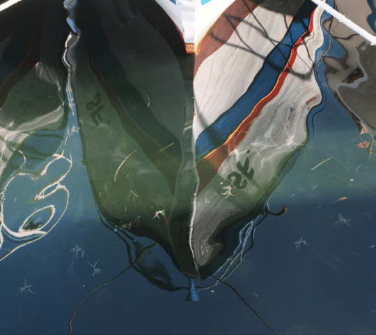 Gare Méditerranée 2026 – Lille, France