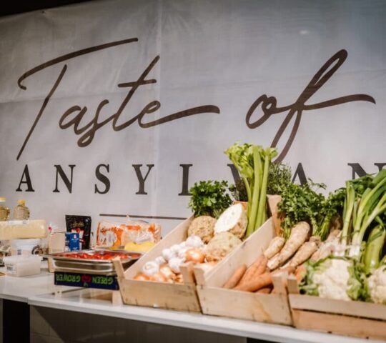 Taste of Transylvania Food Festival 2026 – Lunca de Jos, Romania