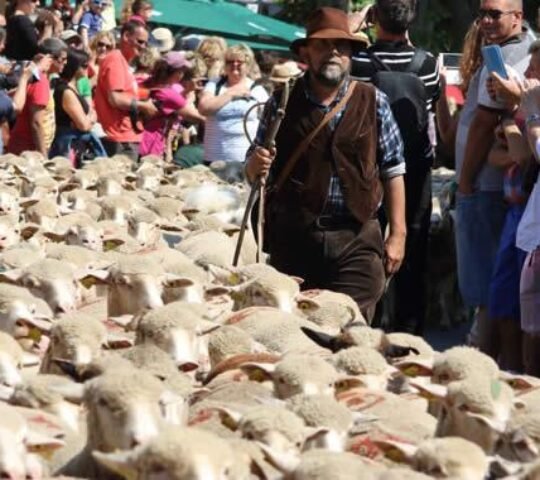 Fête de la Transhumance et de la Clairette 2026 – France