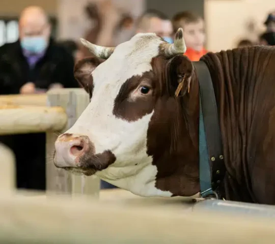 Salon Agriculture 2027 – Paris, France