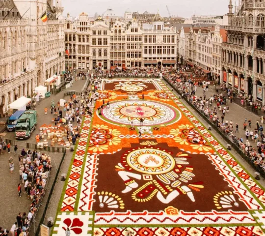 Flower Carpet Brussels 2026 – Brussels, Belgium