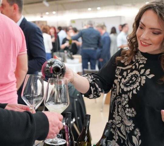 Slovenski festival vin 2026 – Ljubljana, Slovenia