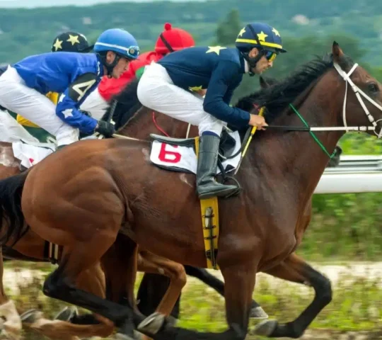 Galway Races Summer Festival 2026 – Galway, Ireland