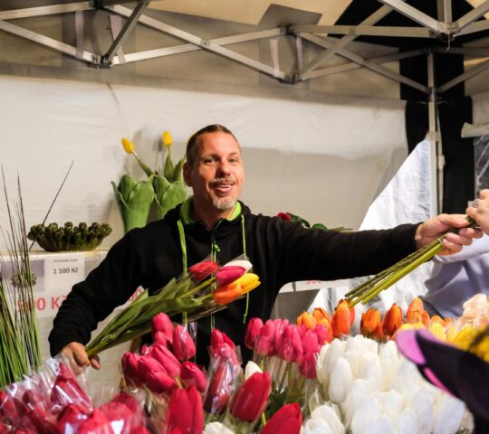 Flora Olomouc 2027 – Olomouc, Czech Republic